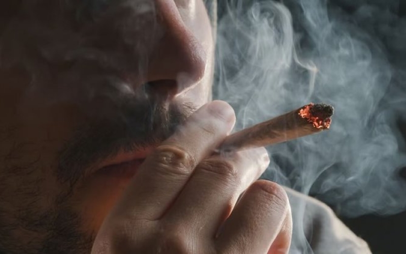 Регулярное употребление марихуаны повышает риск сердечных заболеваний на 34% 