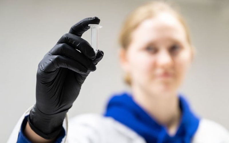 Ученые «МИСиС» разработали защиту от бактерий для костных имплантатов 