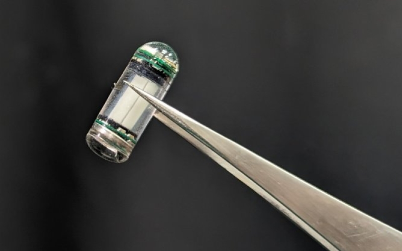 В Сингапуре разработана капсула-дозиметр для внутреннего мониторинга лучевой терапии 