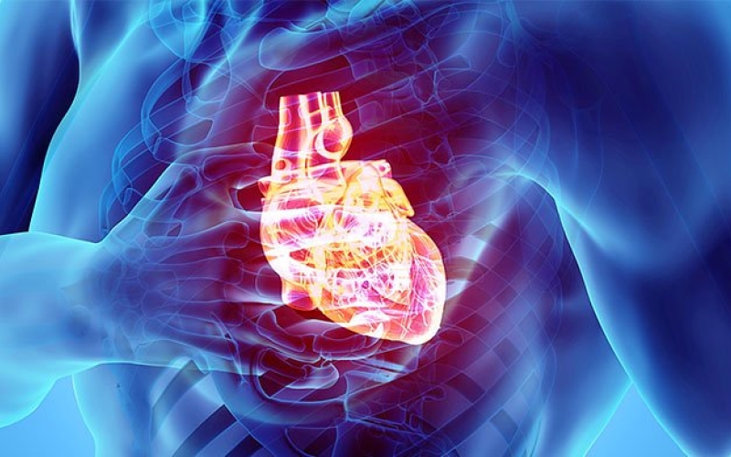 В России смогут на ранней стадии по коже диагностировать болезни сердца 