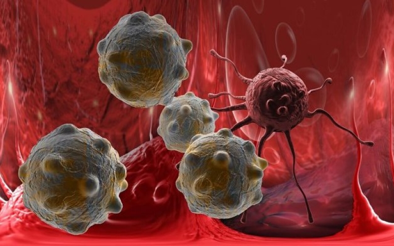 В Сеченовском университете выяснили, как вирусы могут бороться с опухолями 
