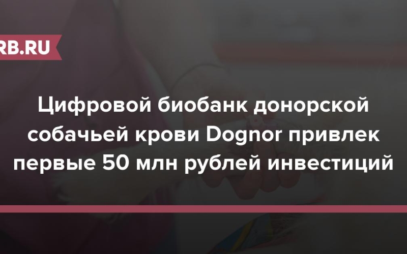 Цифровой биобанк донорской собачьей крови Dognor привлек первые 50 млн рублей инвестиций 