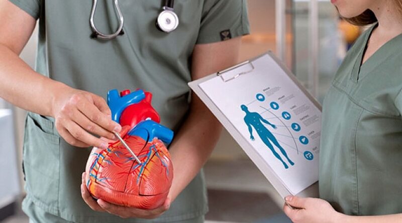 Новосибирские хирурги тестируют самораскрывающийся сердечный клапан